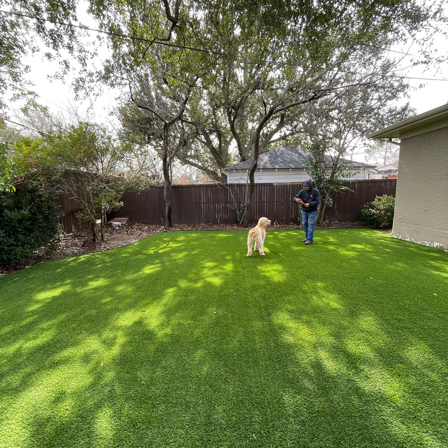 Artificial Turf for Dogs