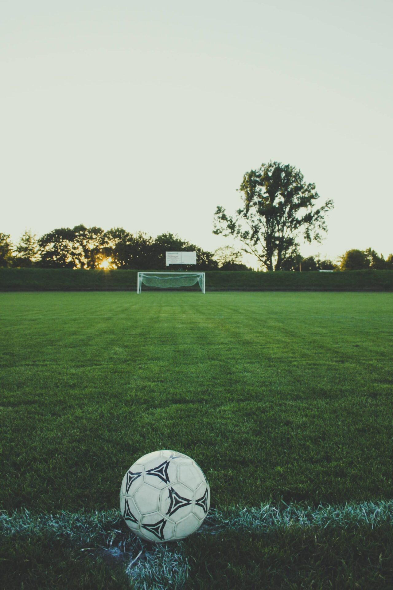 Frisco Artificial Turf Installation
