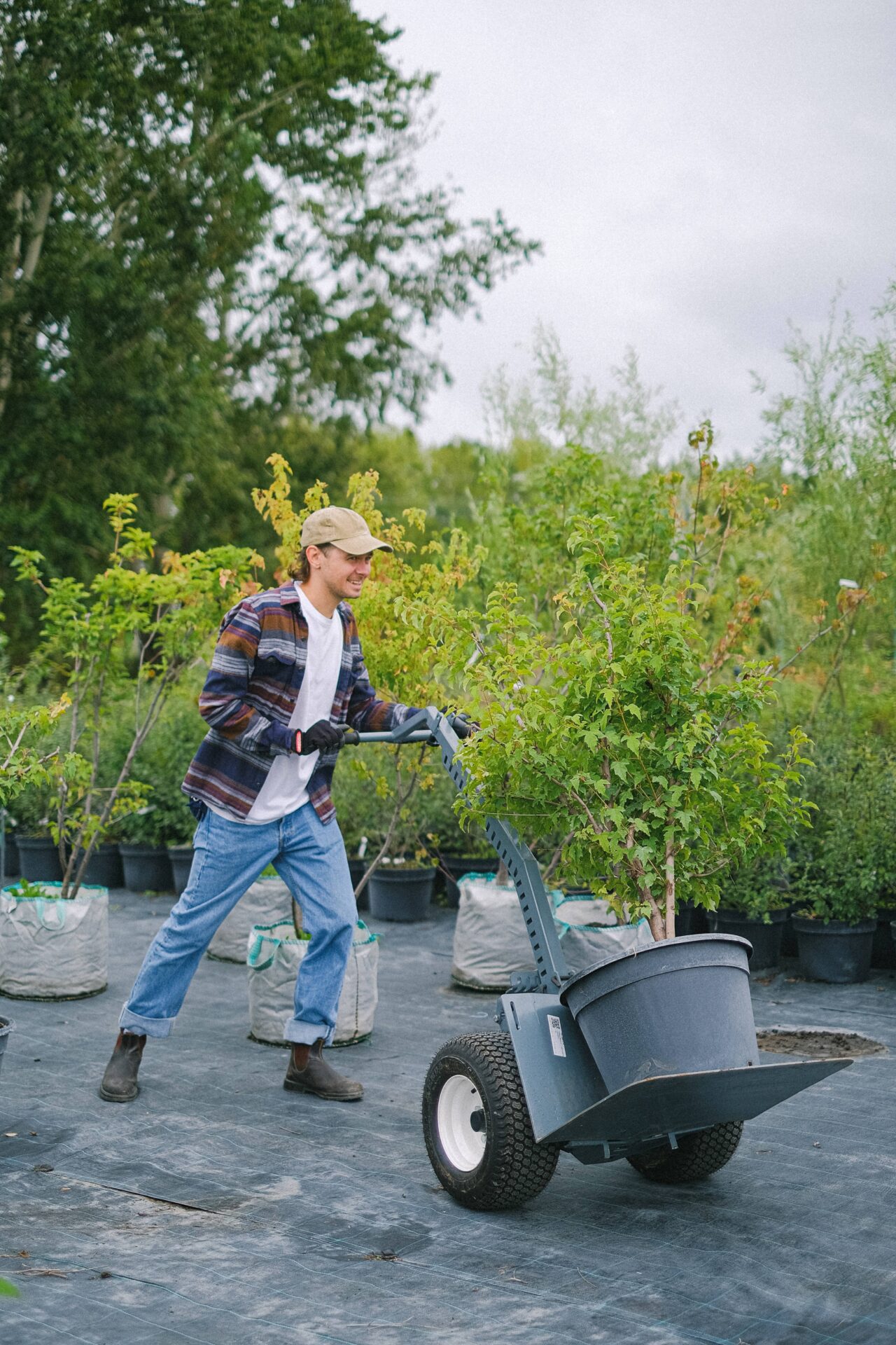 Frisco TX Artificial Turf Installer