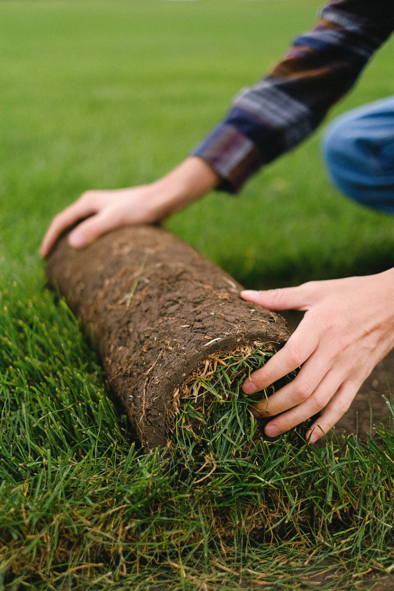 Frisco TX Artificial Turf Contractor